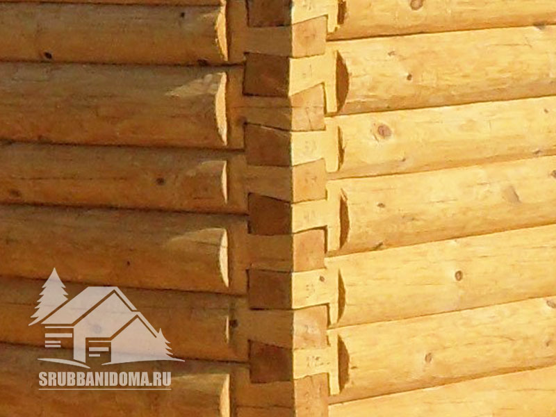 Сруб бани 6х6 с террасой 3