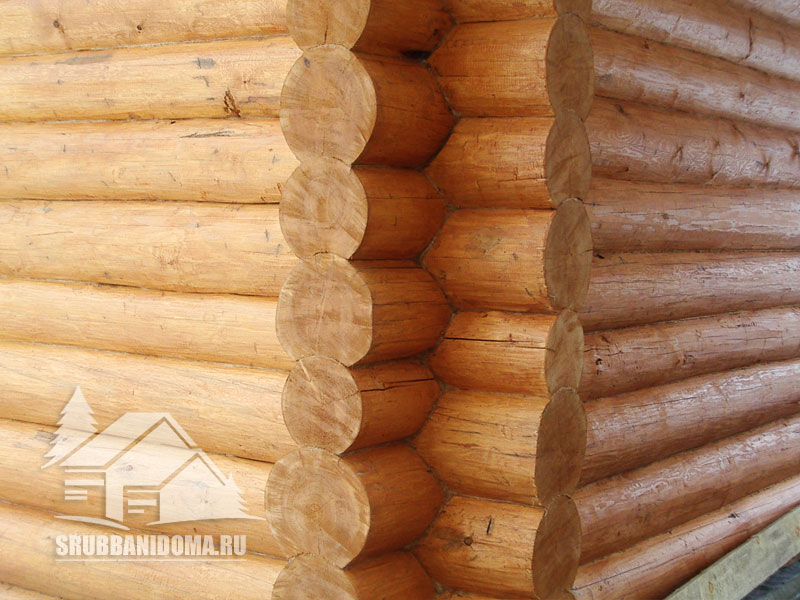 Сруб дома 8х8 2