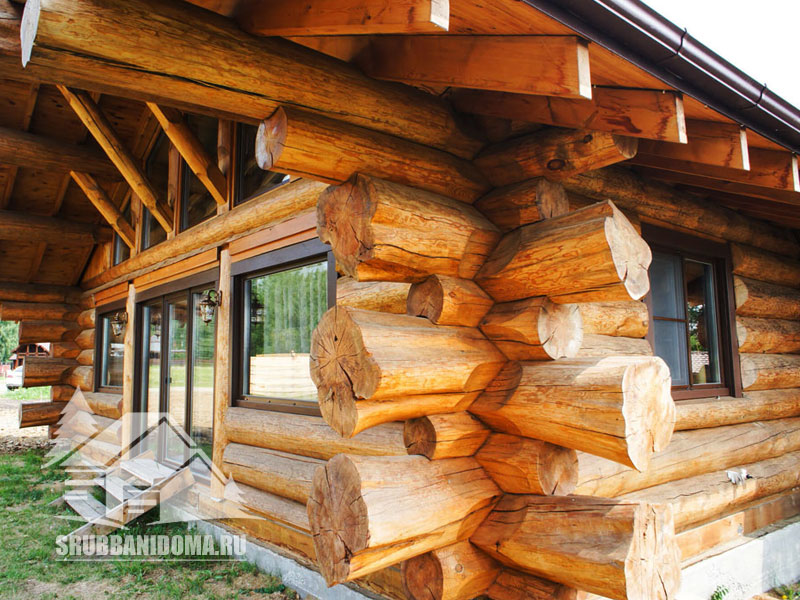 Сруб бани в диком стиле