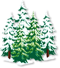 Акция на зимний лес